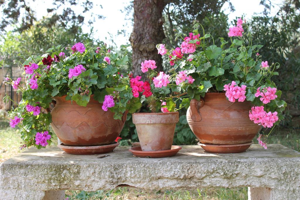 Masseria Gianecchia Cisternino Eksteriør bilde