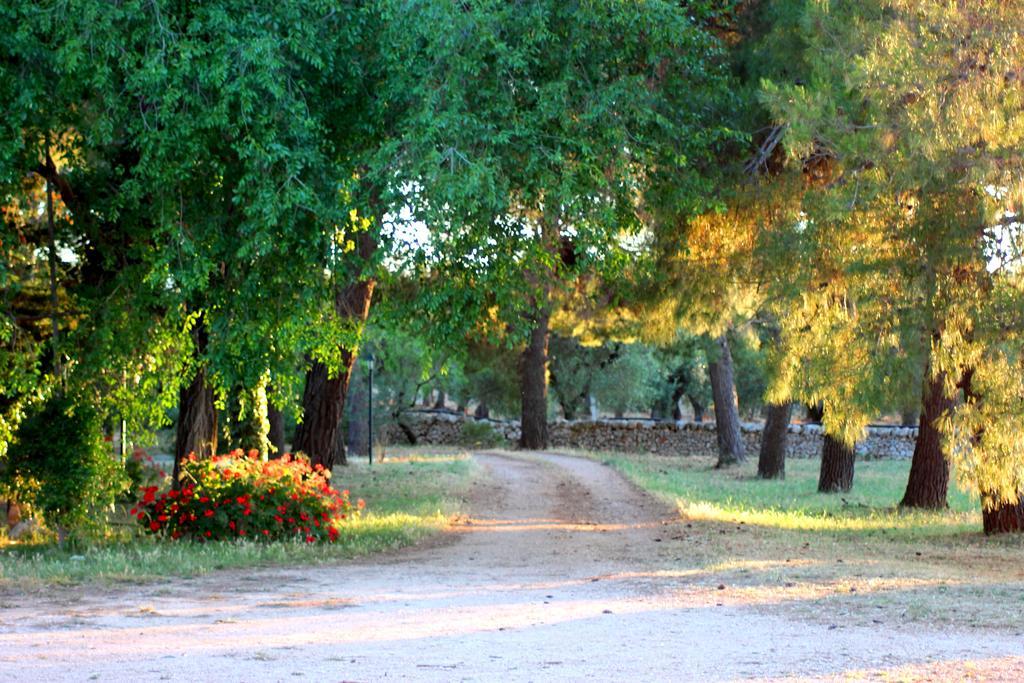 Masseria Gianecchia Cisternino Eksteriør bilde