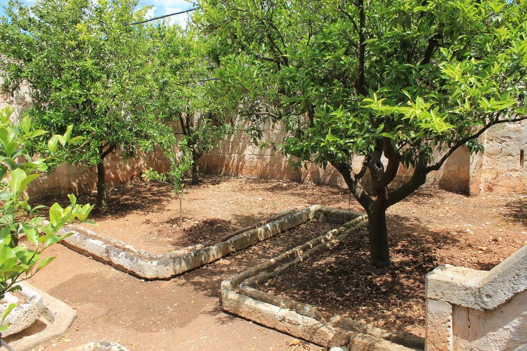 Masseria Gianecchia Cisternino Eksteriør bilde