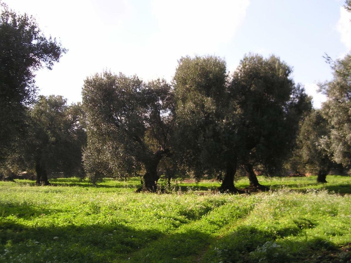 Masseria Gianecchia Cisternino Eksteriør bilde